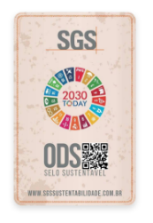 Imagem Selo 2030 Today