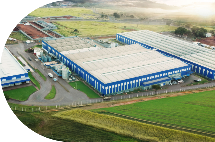 LIMA & PERGHER GROUP