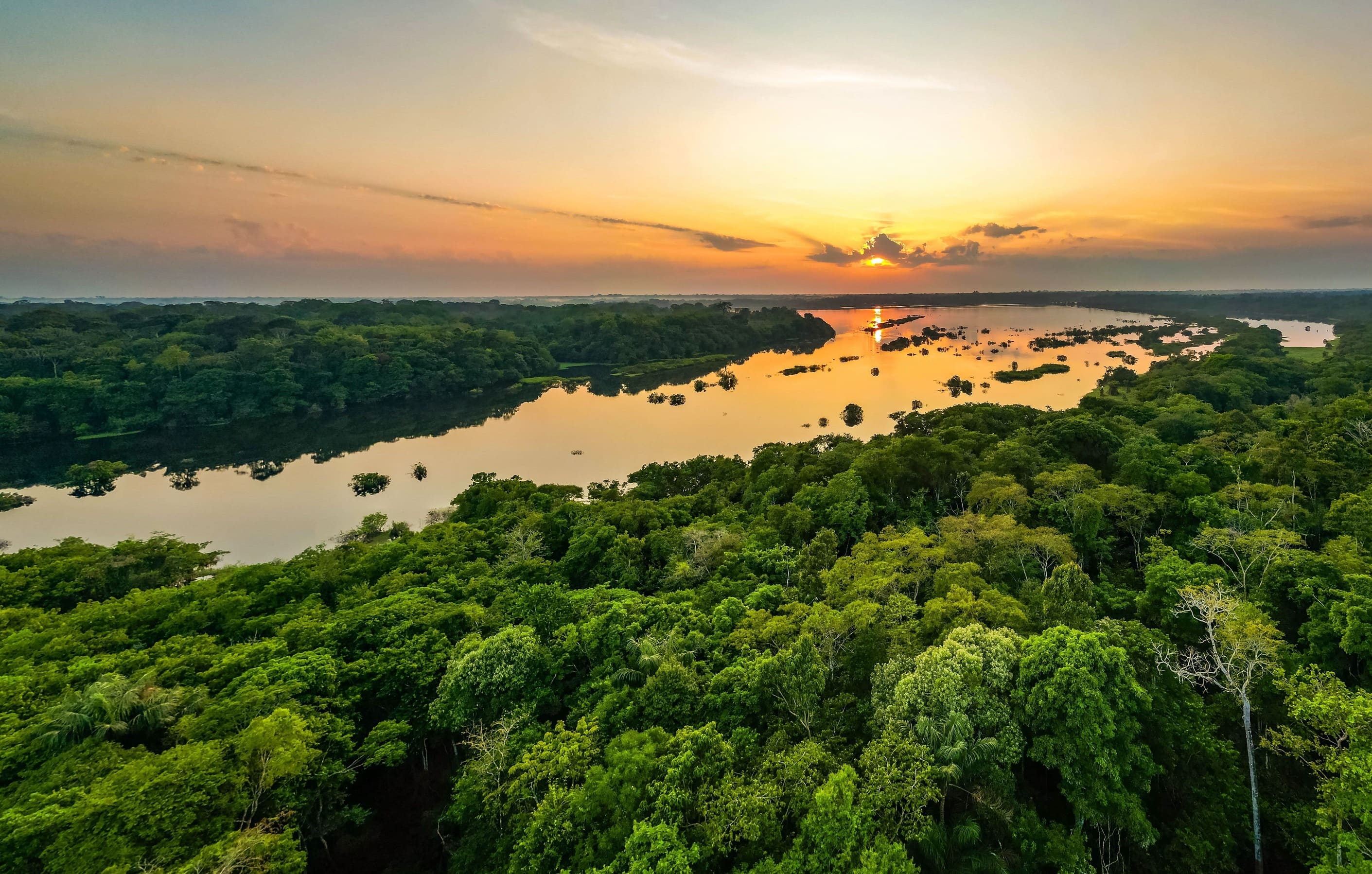 O E vem de ENVIRONMENT, o nosso meio ambiente.